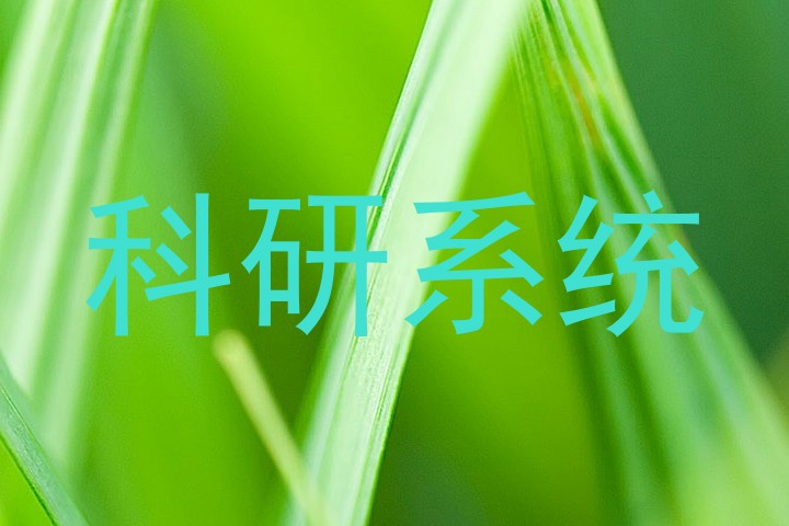 科研系统