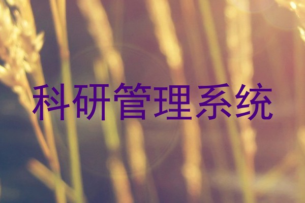 科研管理系统