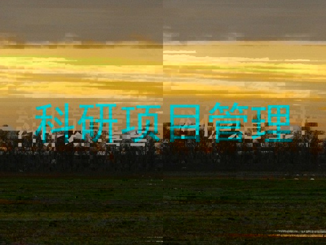 科研项目管理