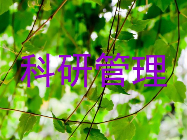 科研管理