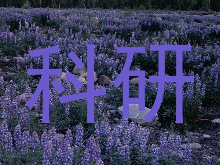 科研