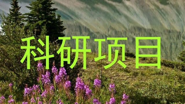 科研项目