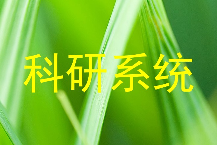 科研系统