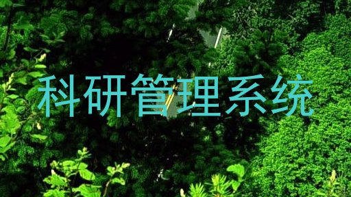 科研管理系统
