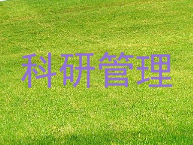 科研管理