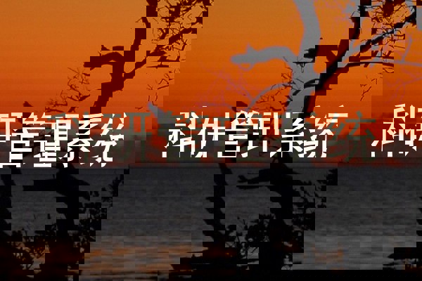 科研管理系统