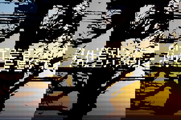 科研管理系统