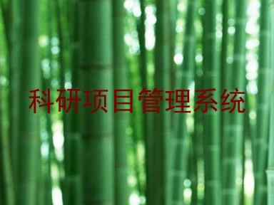 科研项目管理系统
