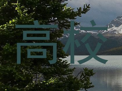 高校