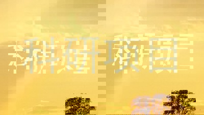 科研项目