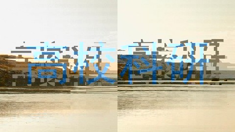 高校科研