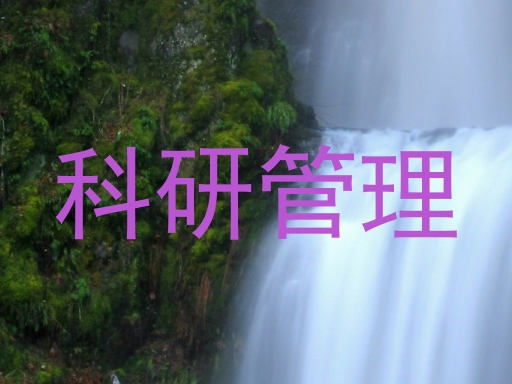 科研管理