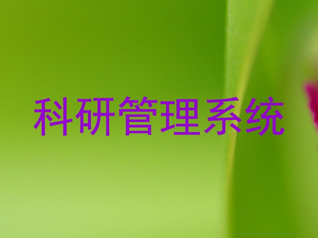 科研管理系统