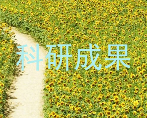 科研成果