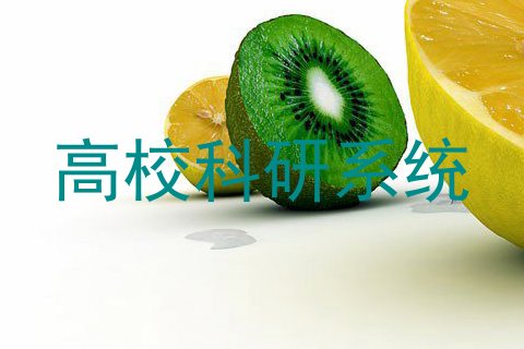 高校科研系统