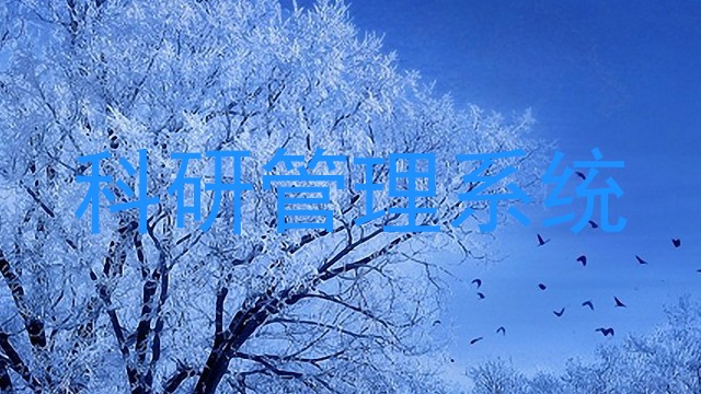 科研管理系统