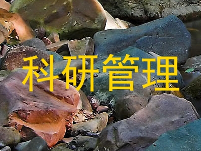 科研管理
