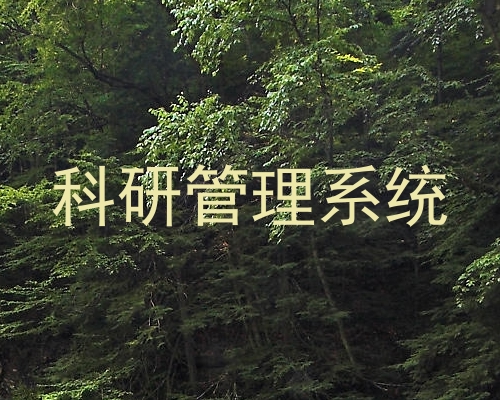 科研管理系统