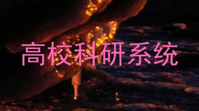 高校科研系统