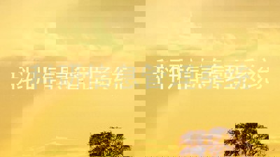 科研信息管理系统