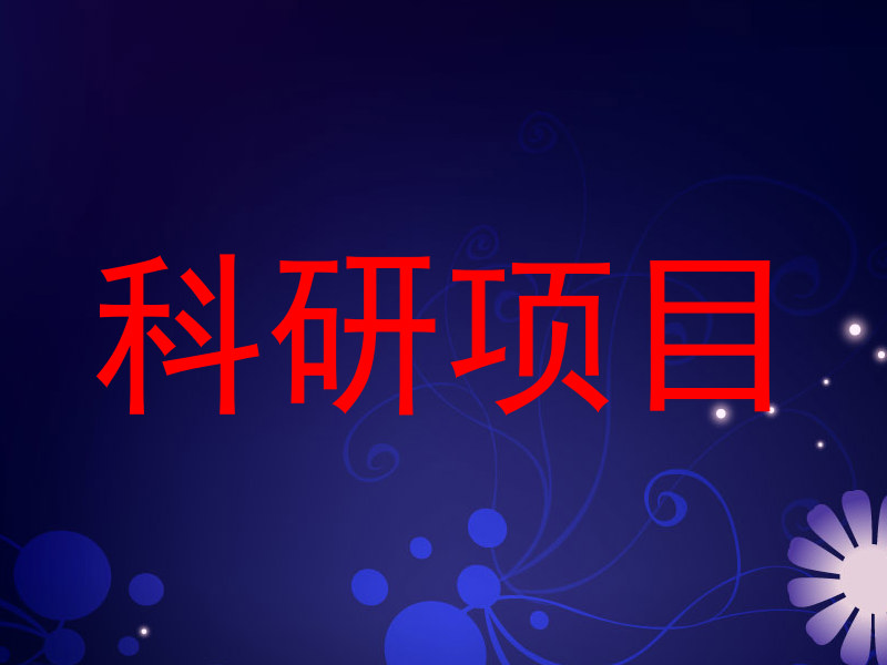 科研项目