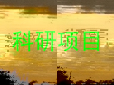 科研项目