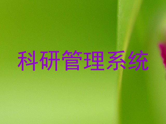 科研管理系统
