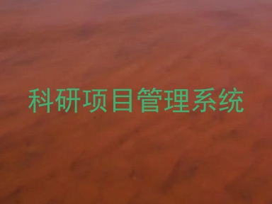 科研项目管理系统