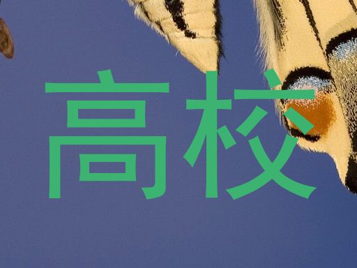 高校