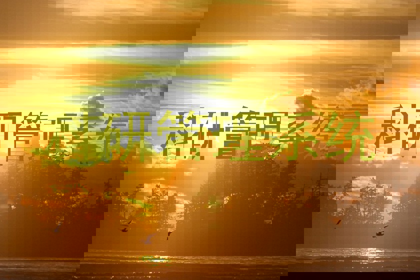 科研管理系统