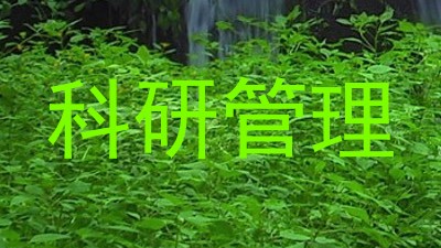 科研管理