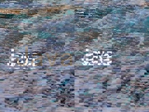 Java