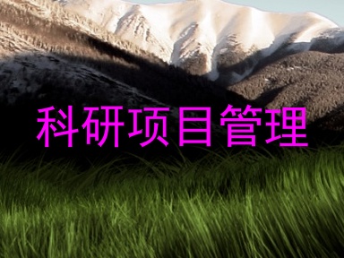 科研项目管理