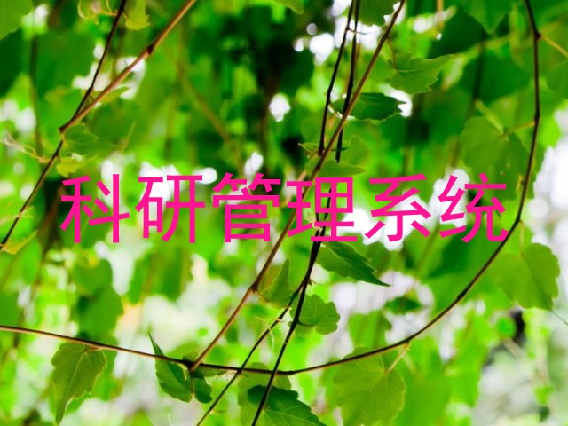 科研管理系统