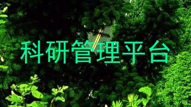 科研管理平台