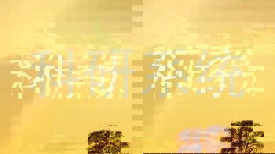 科研系统