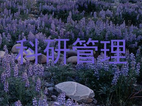 科研管理