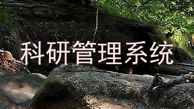 科研管理系统