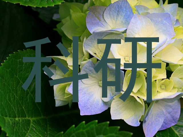 科研