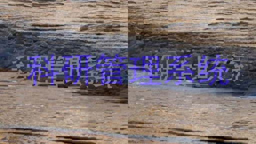 科研管理系统