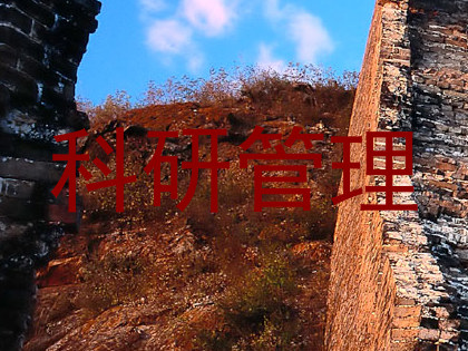 科研管理