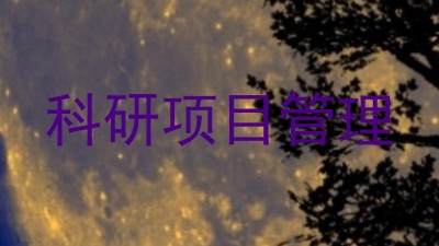 科研项目管理