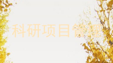 科研项目管理