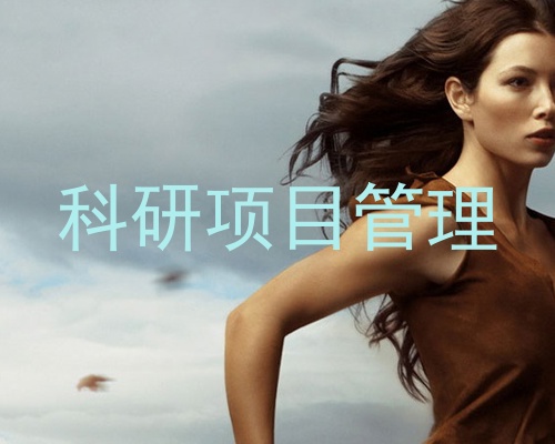科研项目管理
