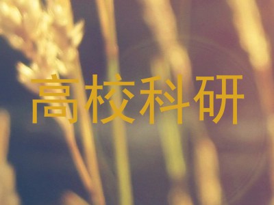 高校科研