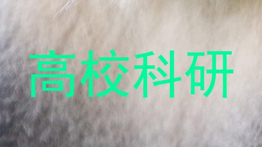 高校科研