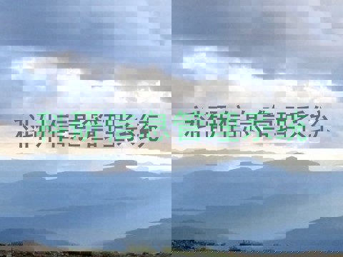 科研信息管理系统