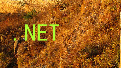 .NET