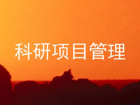 科研项目管理