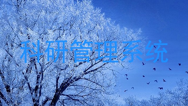 科研管理系统
